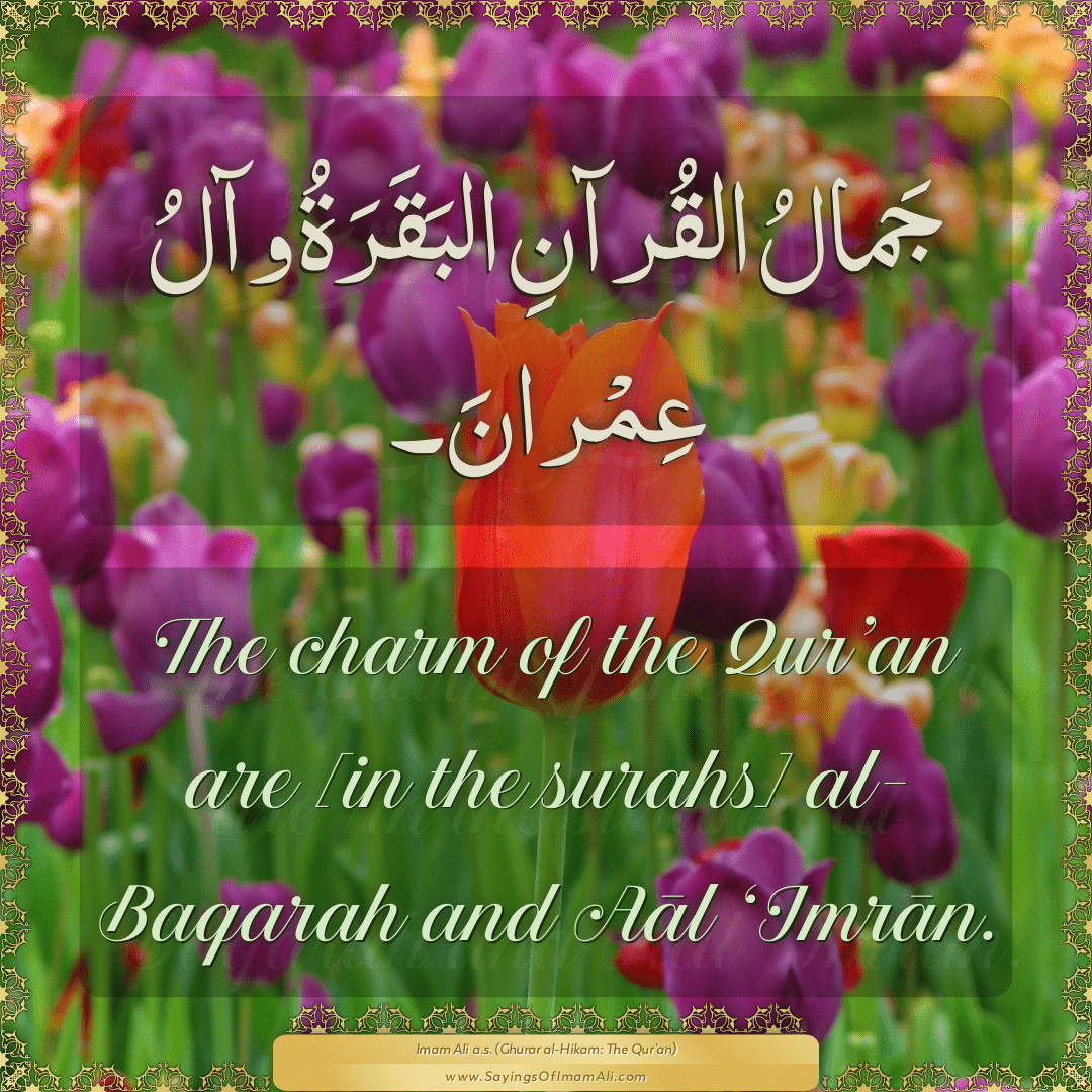 The charm of the Qur’an are [in the surahs] al-Baqarah and Aāl...